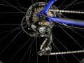 Marlin4-24-41613-C-Alt1.webp
