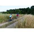 zefal-linka-holownicza-do-roweru-bike-taxi-new-2022.jpg