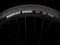 XCaliber8_22_35069_A_Alt4.webp