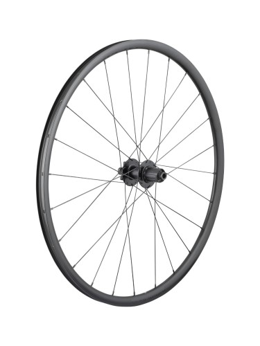 Wheel Rear Bontrager Paradigm SL/RX342 700c 24H Black
