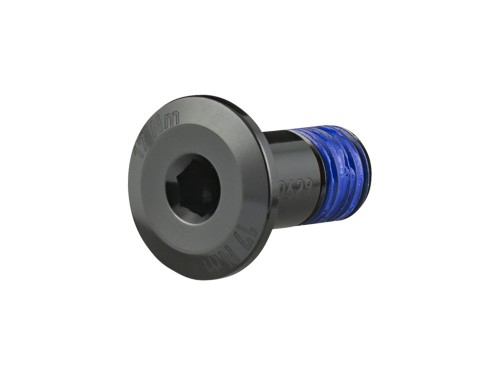 Fastener Trek Bolt M10x1x21mm 18.5mm Head Black