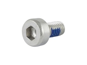 Fastener Trek Fuel EXe 29 2023 Battery End Cap M3x0.5x6mm