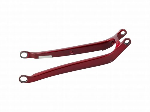 Chainstay Trek Fuel EX 29 2021 Chainstay Rage Red