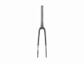 Fork Rigid Domane AL5 53R Lichen Green