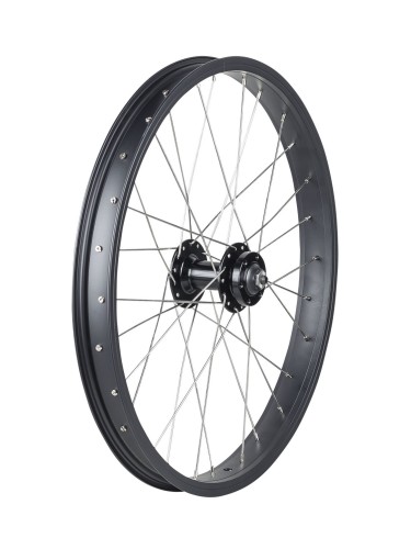 Wheel Front Trek J35A/DC20 Rim Brake 20" 28H QR Black