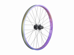 Wheel Rear Trek JK30/DC22 6-bolt 24" 28H QR 8Speed Oil Slick