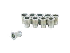 Narzędzia Trek Nitonakrętka do ramy Alpha SL (AH-A1) 10-pak