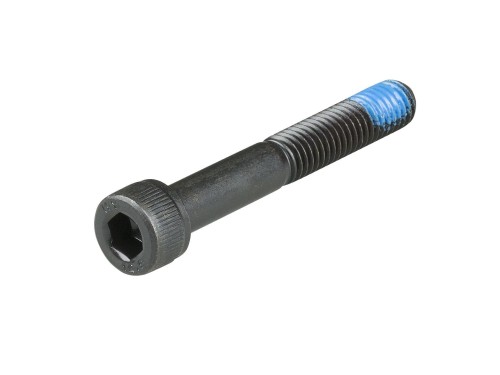 Część zawieszenia Trek Śruba M8 x 1,25 x 55 stal