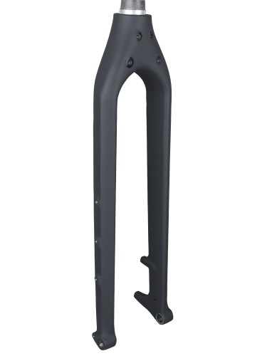 Fork Rigid Trek 1120 29+ Carbon Disc Boost 110x15 Black