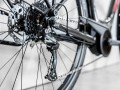 Verve+ 2 Lowstep XS Dnister Black 500WH
