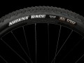 XCaliber9_22_35112_B_Alt4.jpg