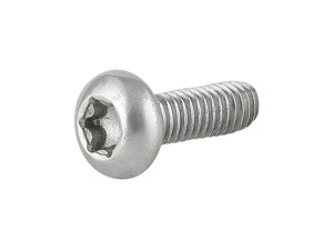 Fastener Trek M4 x 12mm Thread Forming T20 Torx Head