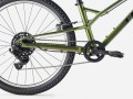 Wahoo 24 Path 24 Chameleon Green