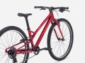 Wahoo 26 Path 26 Fury Red