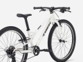 Wahoo 24 Path 24 Crystal White