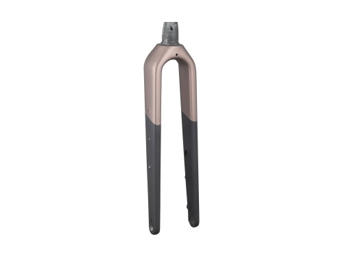 Fork Rigid Trek 2026 Checkpoint+ SL 49R Bronze Age/Dark Web