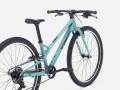 Wahoo 26 Path 26 Blue Sage
