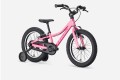 Precaliber 16 F/W 16 Pink Frosting