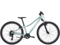 Precaliber 24 8S Sus 24 Blue Sage