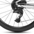 xc_cues_jpg(1).jpg